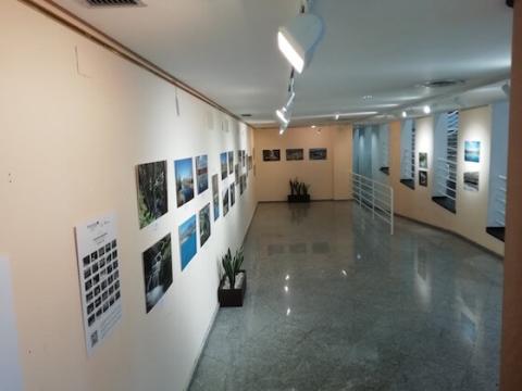 Exposición