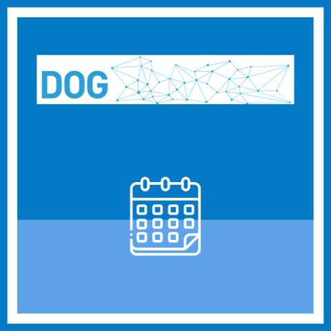 DOG_para_web_20250523151913.jpg