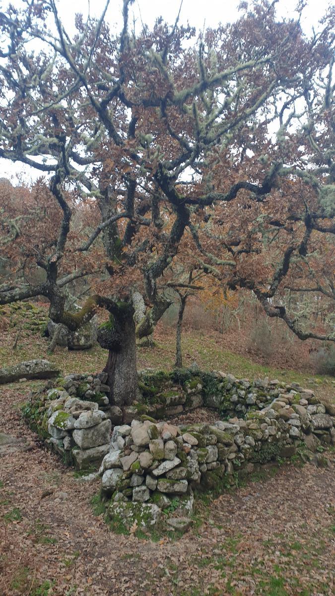 Roteiro Arqueolóxico Etnográfico Armea/Santa Mariña de Augas Santas